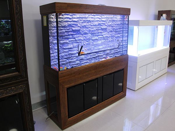 如何去除龍魚(yú)缸中的氯氣？
