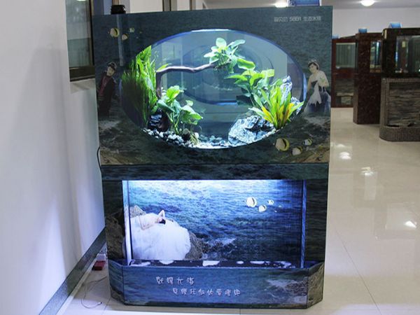 如何給生態(tài)魚(yú)缸增氧