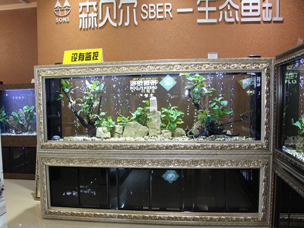 生態(tài)魚(yú)缸使用注意事項(xiàng)